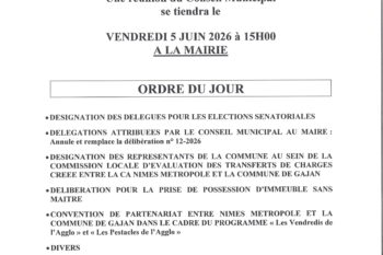 Conseil municipal